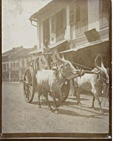 20 Chinesische und indische Karren in  Singapore.jpg